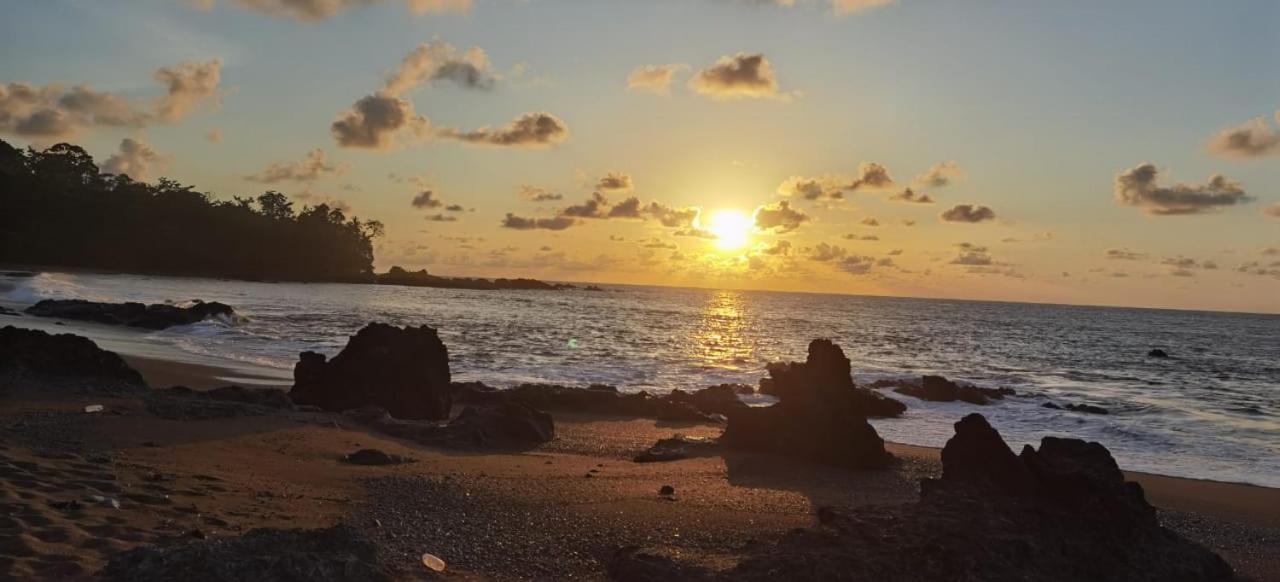 Cabinas Corcovado Green Parrot, Los Planes Drake Drakes Bay Εξωτερικό φωτογραφία