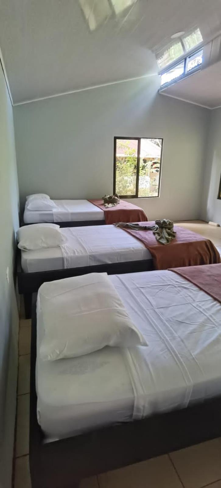 Cabinas Corcovado Green Parrot, Los Planes Drake Drakes Bay Εξωτερικό φωτογραφία