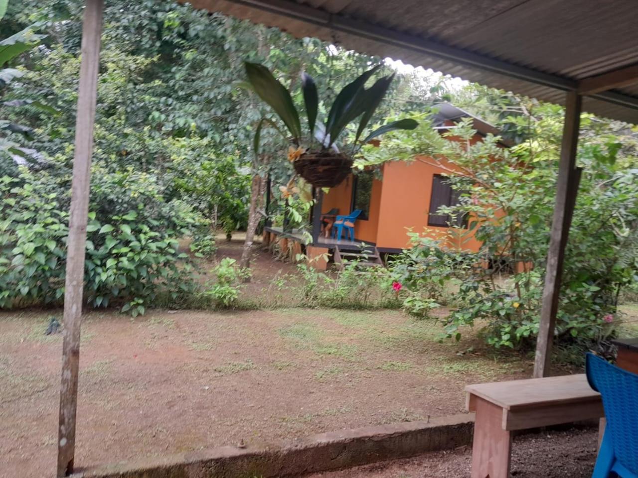 Cabinas Corcovado Green Parrot, Los Planes Drake Drakes Bay Εξωτερικό φωτογραφία