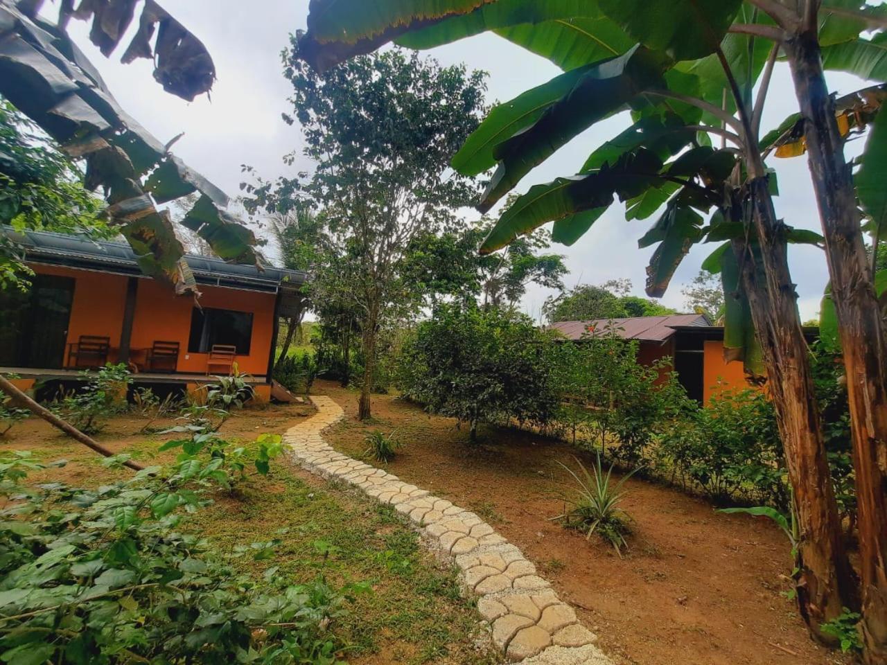 Cabinas Corcovado Green Parrot, Los Planes Drake Drakes Bay Εξωτερικό φωτογραφία