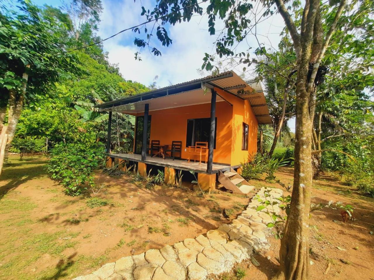 Cabinas Corcovado Green Parrot, Los Planes Drake Drakes Bay Εξωτερικό φωτογραφία
